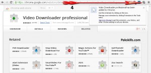 video down loader professional